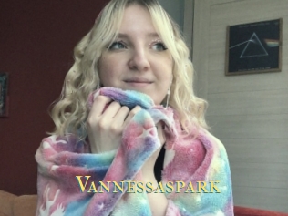 Vannessaspark