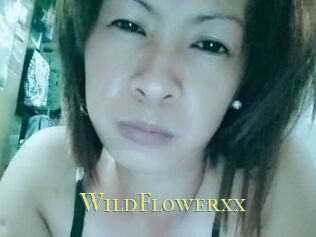 WildFlowerxx