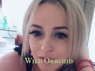 Wild_Orrchid