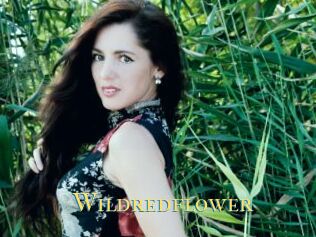 Wildredflower